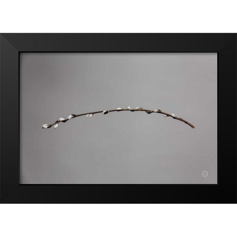 Springtime in the Air Black Modern Wood Framed Art Print by Larson, Nathan