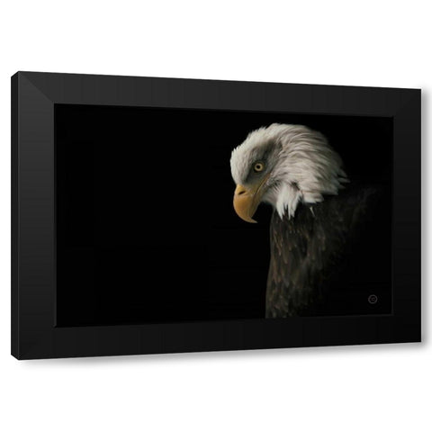 Eagle Bow Black Modern Wood Framed Art Print by Larson, Nathan