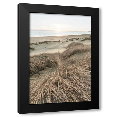 Beach Grasses Black Modern Wood Framed Art Print by Majchrowicz, Alan