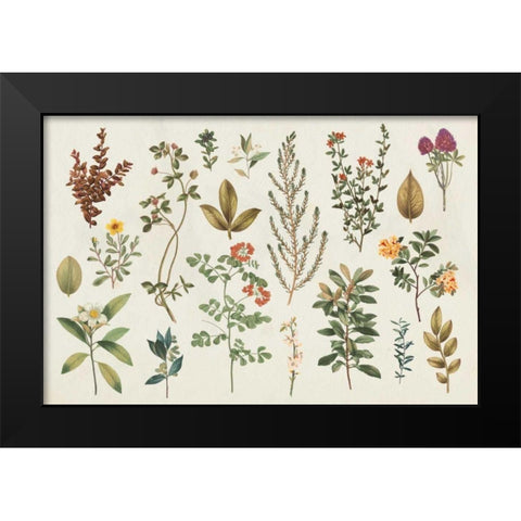 Victorian Garden III Autumn Black Modern Wood Framed Art Print by Wild Apple Portfolio