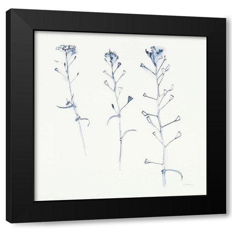 Shepherds Purse Stems I Blue Black Modern Wood Framed Art Print with Double Matting by Novak, Shirley