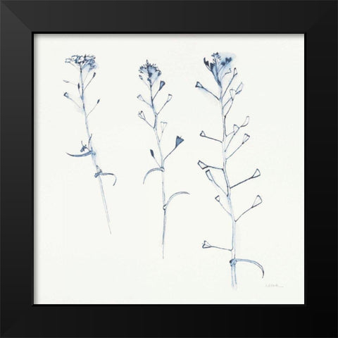 Shepherds Purse Stems I Blue Black Modern Wood Framed Art Print by Novak, Shirley