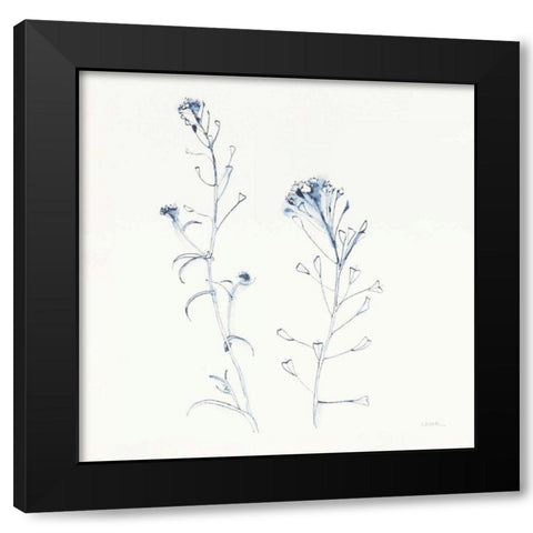 Shepherds Purse Stems II Blue Black Modern Wood Framed Art Print by Novak, Shirley