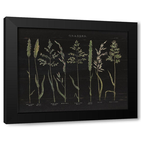 Herbal Botanical VII Black Wood Black Modern Wood Framed Art Print by Wild Apple Portfolio