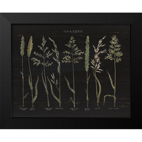 Herbal Botanical VII Black Wood Black Modern Wood Framed Art Print by Wild Apple Portfolio