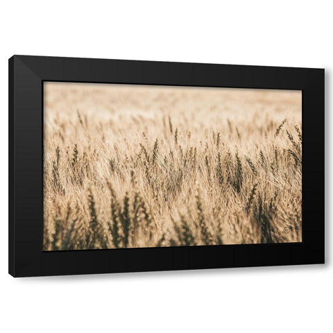 Dakota Wheat Fields Black Modern Wood Framed Art Print by Larson, Nathan