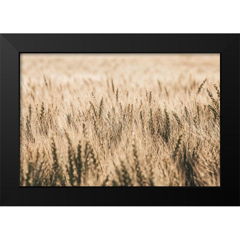 Dakota Wheat Fields Black Modern Wood Framed Art Print by Larson, Nathan
