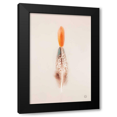 Floating Feathers I Black Modern Wood Framed Art Print with Double Matting by Larson, Nathan