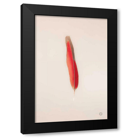 Floating Feathers II Black Modern Wood Framed Art Print by Larson, Nathan