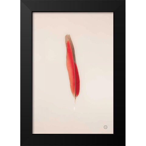 Floating Feathers II Black Modern Wood Framed Art Print by Larson, Nathan