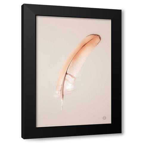 Floating Feathers III Black Modern Wood Framed Art Print with Double Matting by Larson, Nathan