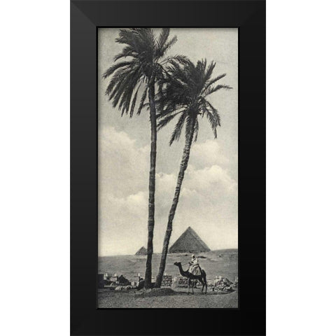 Cairo IV Crop Black Modern Wood Framed Art Print by Wild Apple Portfolio