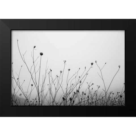 Autumn Grasses Black Modern Wood Framed Art Print by Aledanda