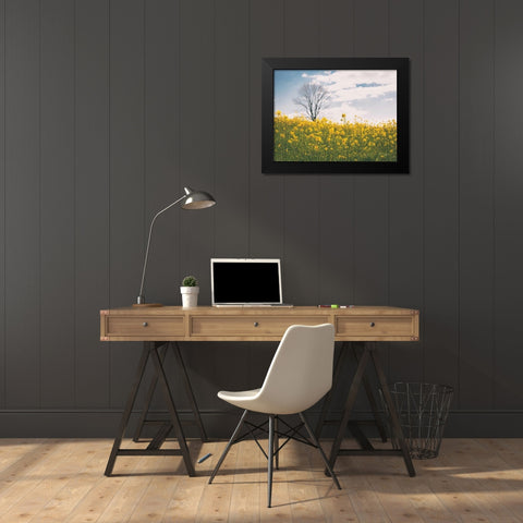 Spring Meadow Black Modern Wood Framed Art Print by Aledanda