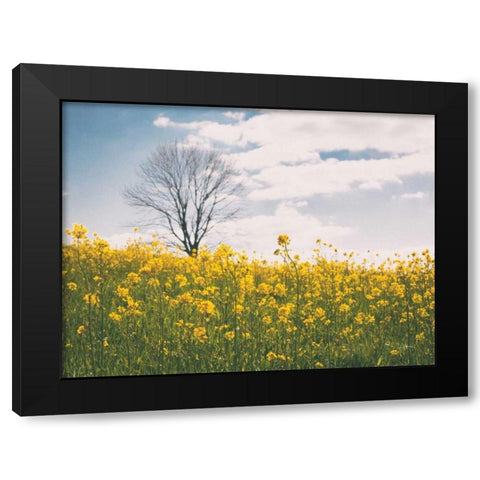 Spring Meadow Black Modern Wood Framed Art Print by Aledanda