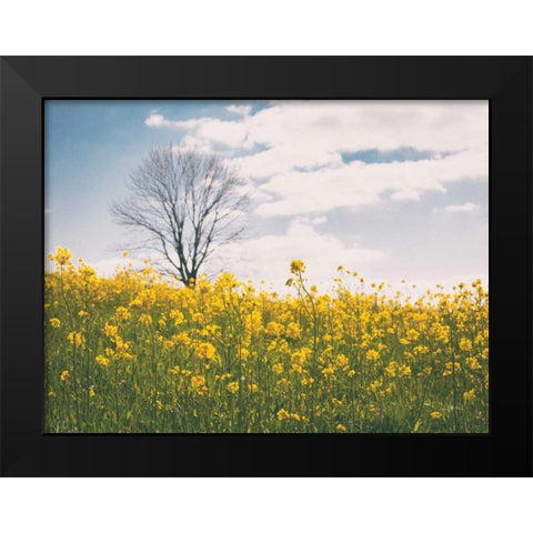 Spring Meadow Black Modern Wood Framed Art Print by Aledanda
