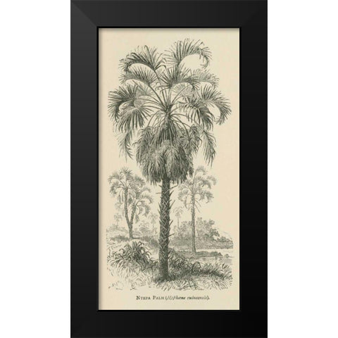 Creators Wonders Book Palm Black Modern Wood Framed Art Print by Wild Apple Portfolio