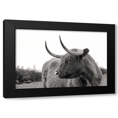 On the Ranch I No Tag Black Modern Wood Framed Art Print with Double Matting by Eichman, Andre