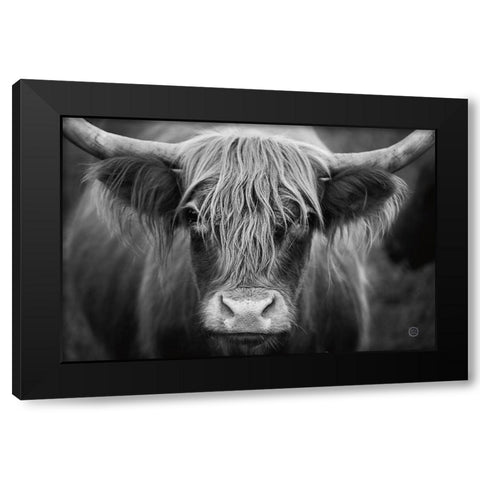 Cow Nose BW Black Modern Wood Framed Art Print with Double Matting by Larson, Nathan
