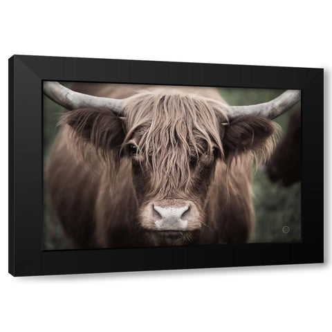 Cow Nose Light Black Modern Wood Framed Art Print with Double Matting by Larson, Nathan