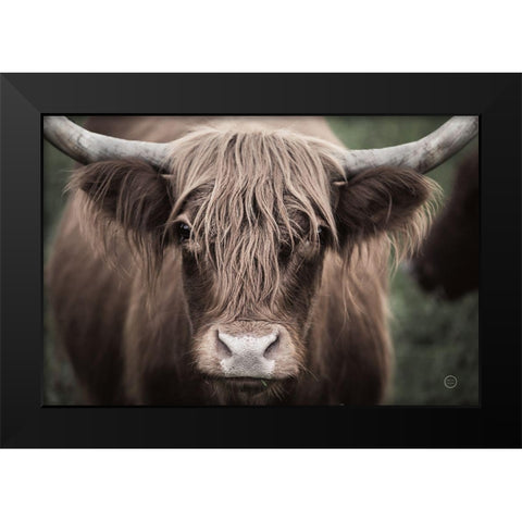 Cow Nose Light Black Modern Wood Framed Art Print by Larson, Nathan