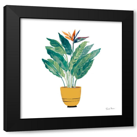 Potted Jewels III Black Modern Wood Framed Art Print with Double Matting by Zaman, Farida