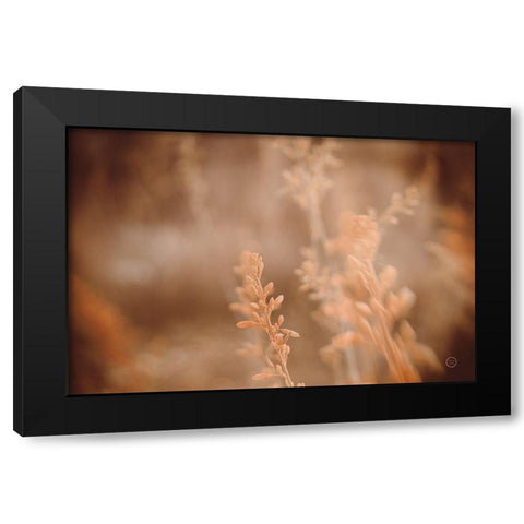 Texas Wild Black Modern Wood Framed Art Print with Double Matting by Larson, Nathan