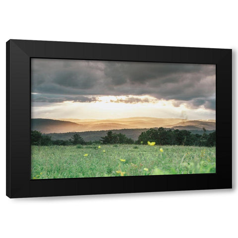 Laying in the Flowers Black Modern Wood Framed Art Print with Double Matting by Larson, Nathan