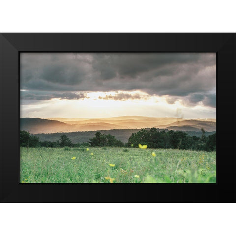 Laying in the Flowers Black Modern Wood Framed Art Print by Larson, Nathan