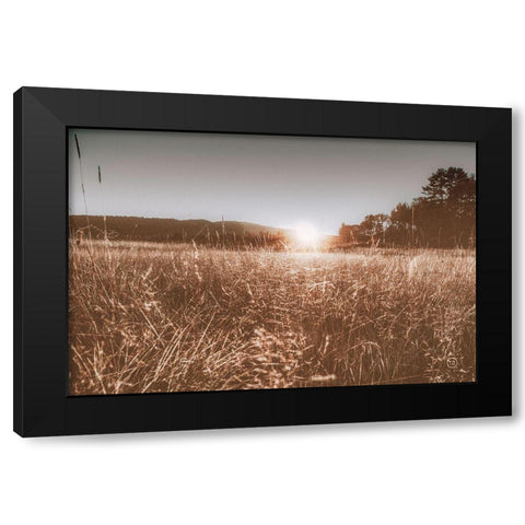 Fields of Gold Black Modern Wood Framed Art Print by Larson, Nathan