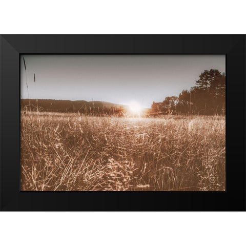 Fields of Gold Black Modern Wood Framed Art Print by Larson, Nathan