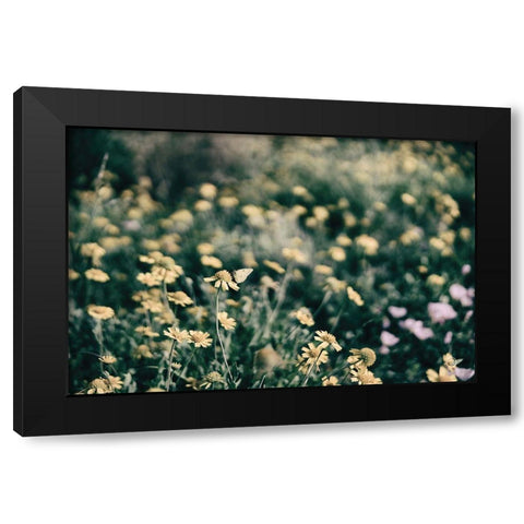 Field Friends Fade Black Modern Wood Framed Art Print with Double Matting by Larson, Nathan
