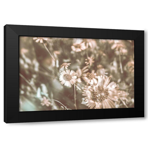 Flower Power Black Modern Wood Framed Art Print with Double Matting by Larson, Nathan