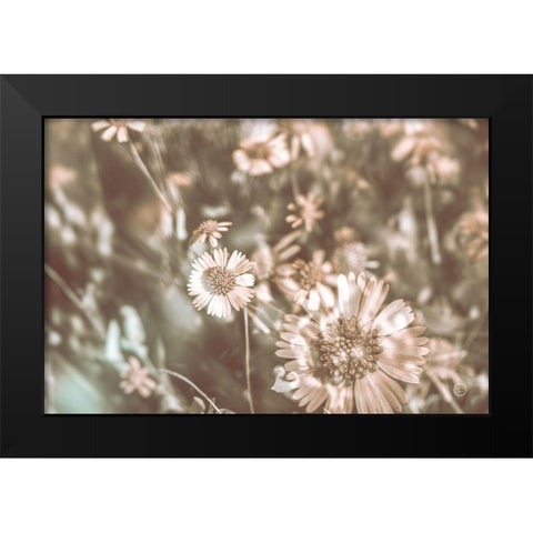 Flower Power Black Modern Wood Framed Art Print by Larson, Nathan
