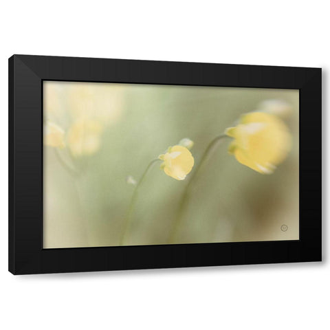 Field Trip Black Modern Wood Framed Art Print by Larson, Nathan