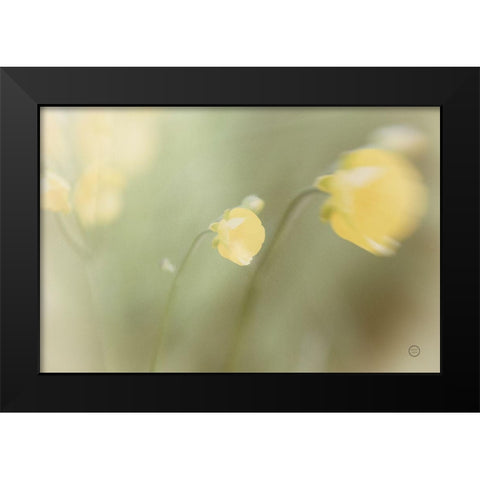 Field Trip Black Modern Wood Framed Art Print by Larson, Nathan