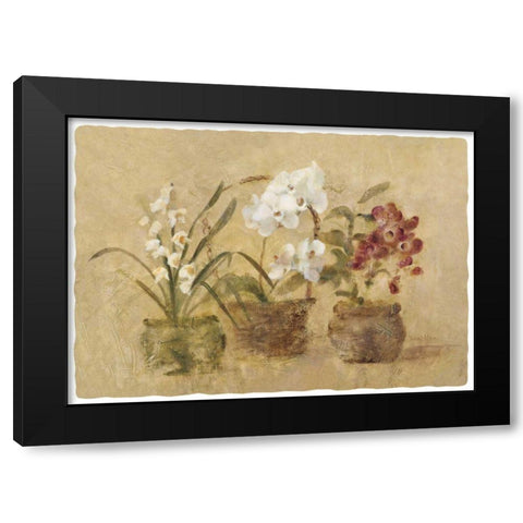 Collection of Orchids-48x35.5 Black Modern Wood Framed Art Print with Double Matting by Blum, Cheri
