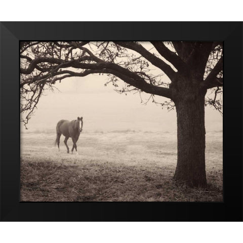Hazy Horse I Black Modern Wood Framed Art Print by Van Swearingen, Debra