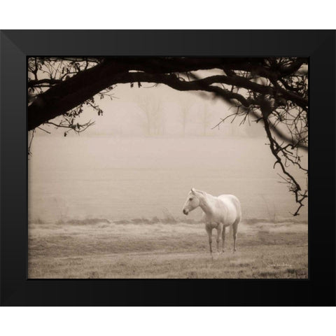 Hazy Horse II Black Modern Wood Framed Art Print by Van Swearingen, Debra
