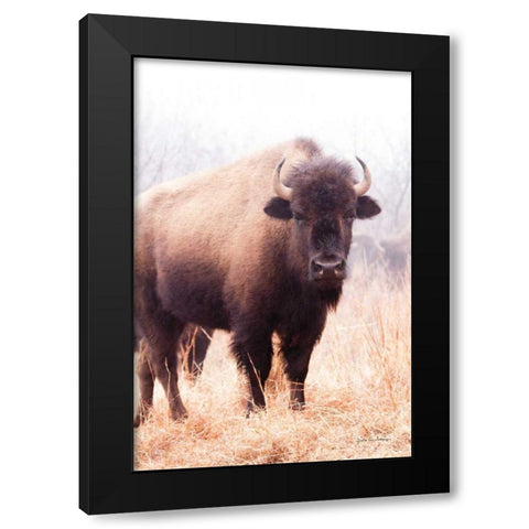 American Bison V Black Modern Wood Framed Art Print by Van Swearingen, Debra