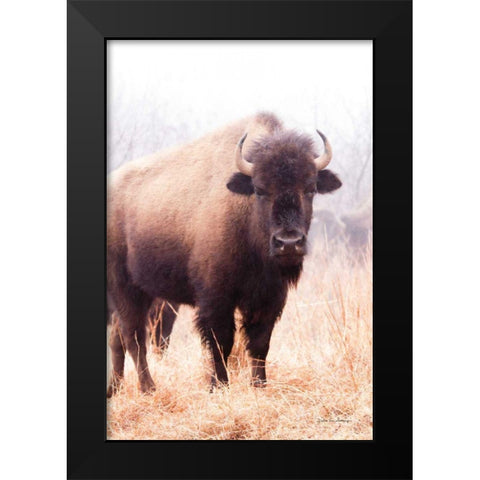 American Bison V Black Modern Wood Framed Art Print by Van Swearingen, Debra