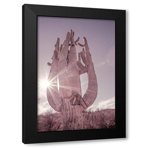 Dusty Desert Saguaro Black Modern Wood Framed Art Print by Larson, Nathan