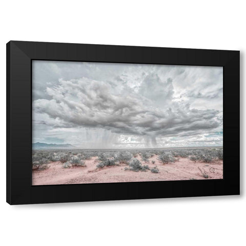 New Mexico Rain Black Modern Wood Framed Art Print with Double Matting by Larson, Nathan