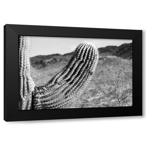 Saguaro Black Modern Wood Framed Art Print by Larson, Nathan