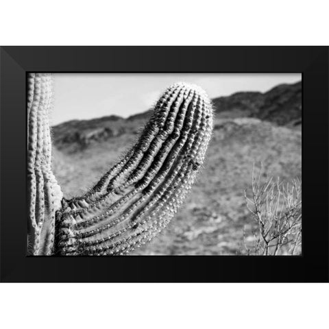 Saguaro Black Modern Wood Framed Art Print by Larson, Nathan