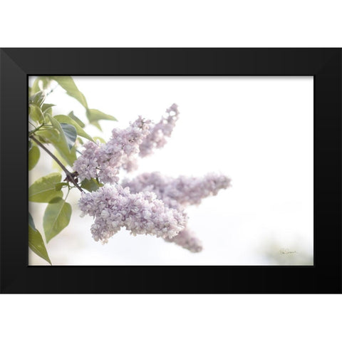 Pale Lilacs I Black Modern Wood Framed Art Print by Schlabach, Sue