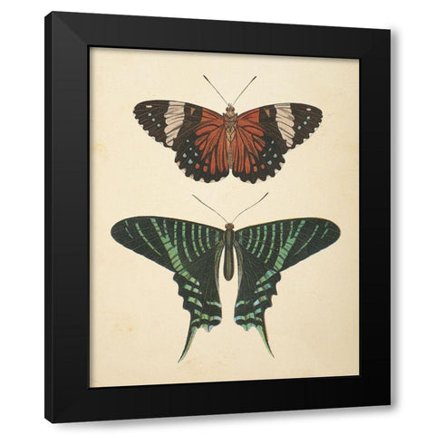 Papillons I Black Modern Wood Framed Art Print by Wild Apple Portfolio