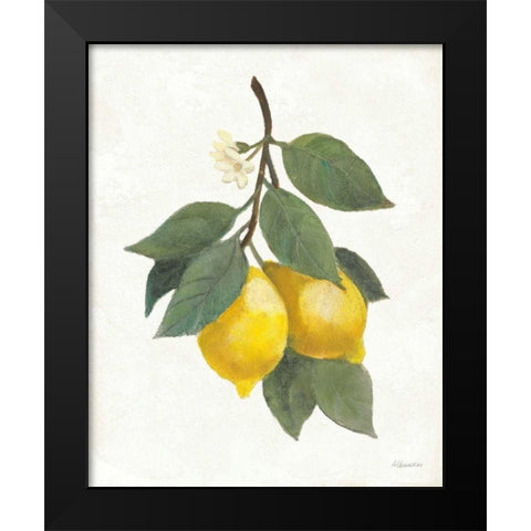 Lemon Branch II Black Modern Wood Framed Art Print by Hristova, Albena