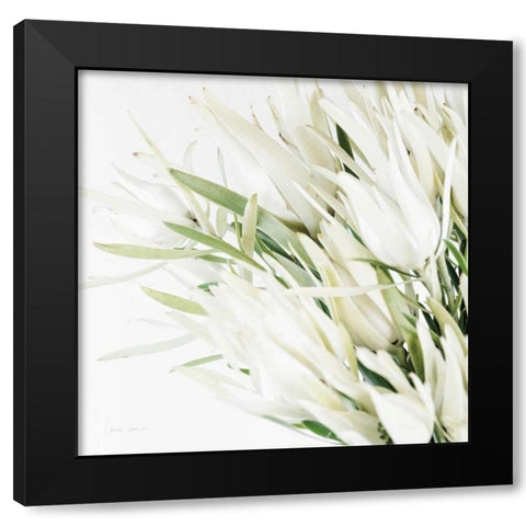Leucadendron Oasis Crop Black Modern Wood Framed Art Print with Double Matting by Catterall, Elise