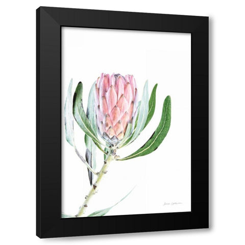 Dreamy Protea II Oasis Black Modern Wood Framed Art Print with Double Matting by Catterall, Elise